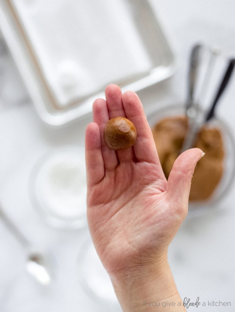 hand holding ball of gingerbread dough