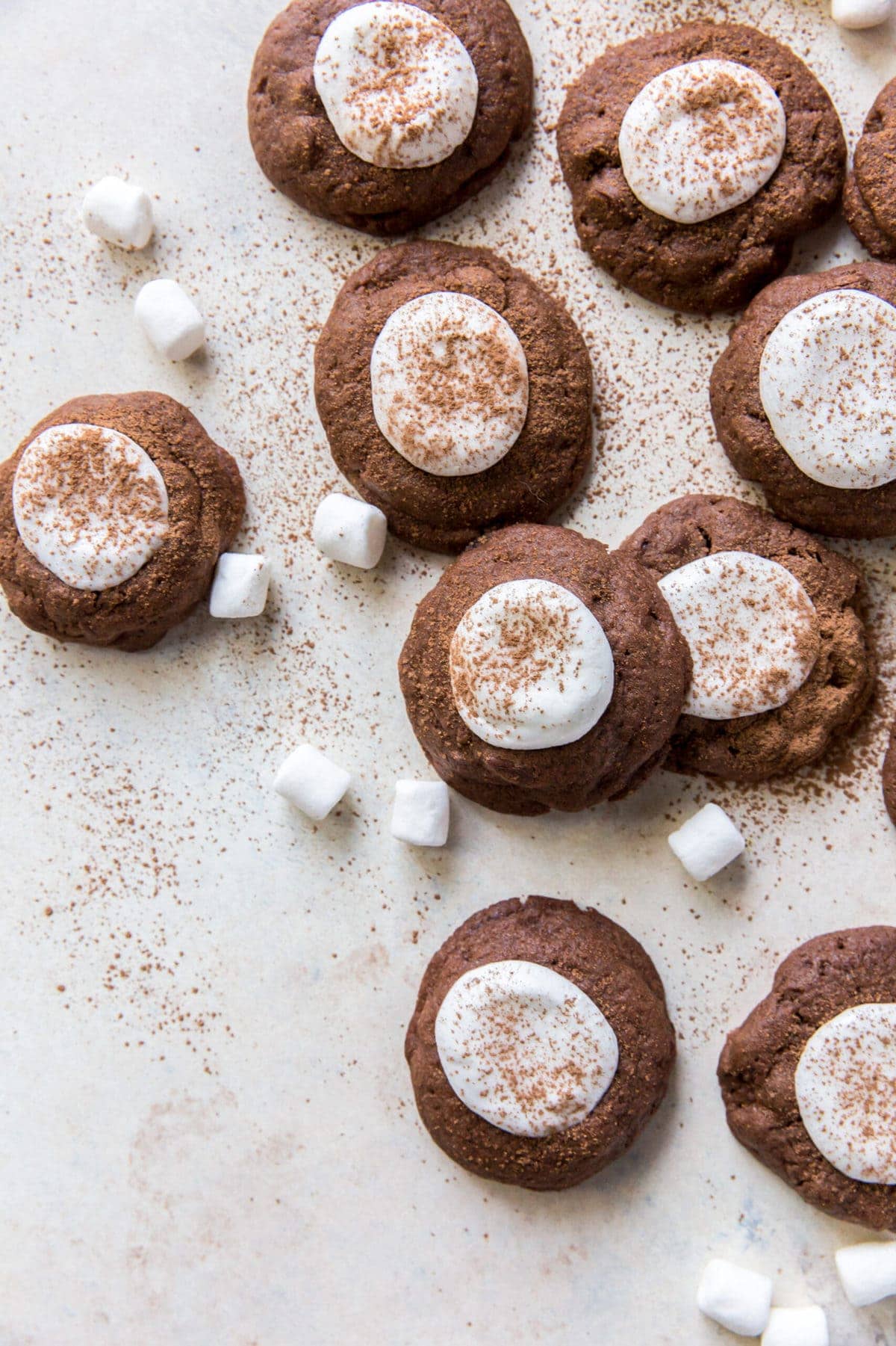 hot cocoa cookies topped with marshmallows halves and dusted with cocoa