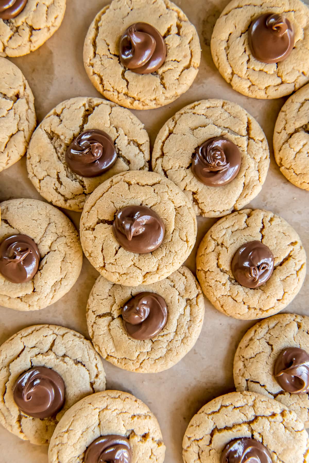 Peanut Butter Thumbprint Cookies with Nutella - Spicy Southern Kitchen