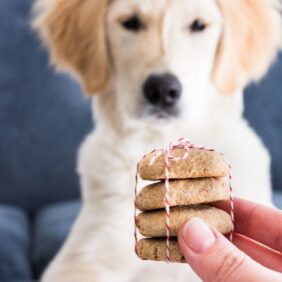 Stack of snickerdoodle cinnamon dog treats golden retriever puppy