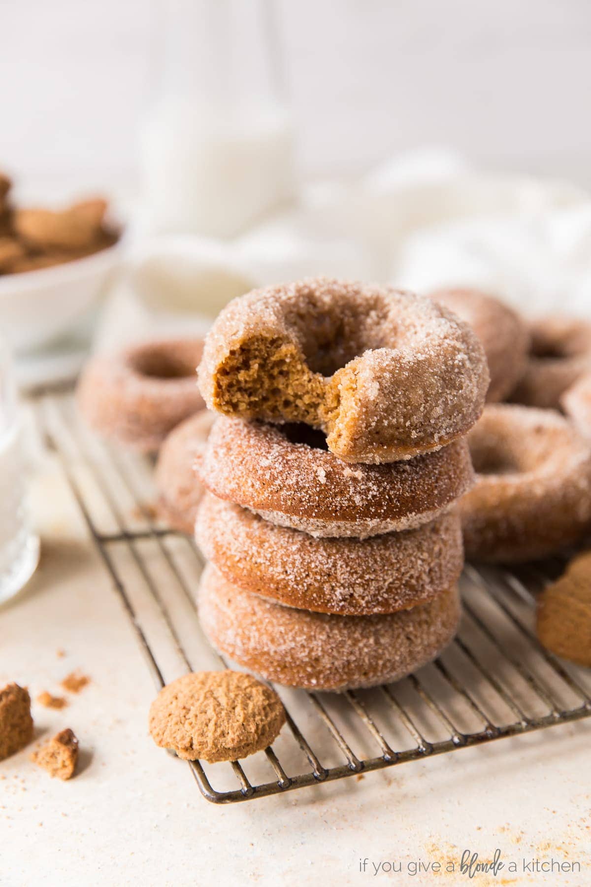 Gingerbread Donuts with Cinnamon Sugar