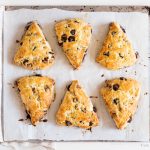 Ina Garten's chocolate pecan scones on parchment paper and baking sheet. Golden, shiny scones with chocolate chips and chopped pecans