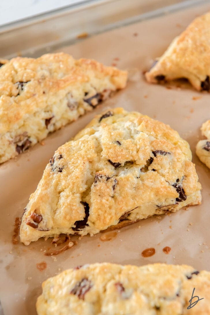 chocolate chip pecan scones on parchment paper on baking sheet
