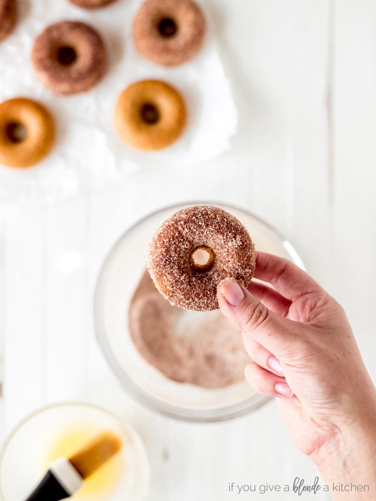 hand holding apple cider donut dusted in cinnamon sugar