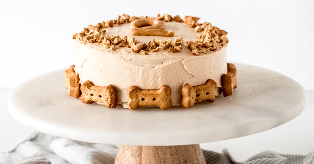 Pumpkin Dog Cake Recipe – If You Give a Blonde a Kitchen