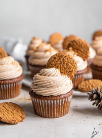 The BEST Gingerbread Cupcakes