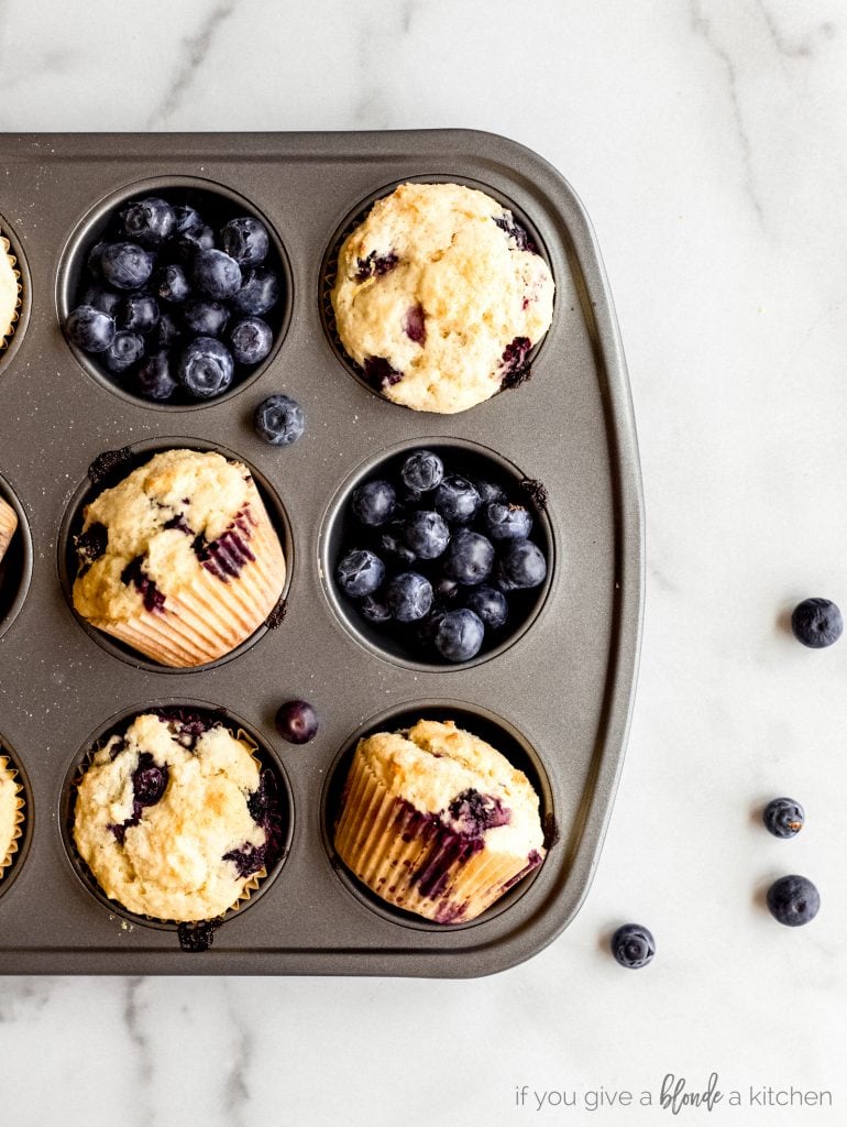 fresh blueberries and blueberry muffins in muffin tin