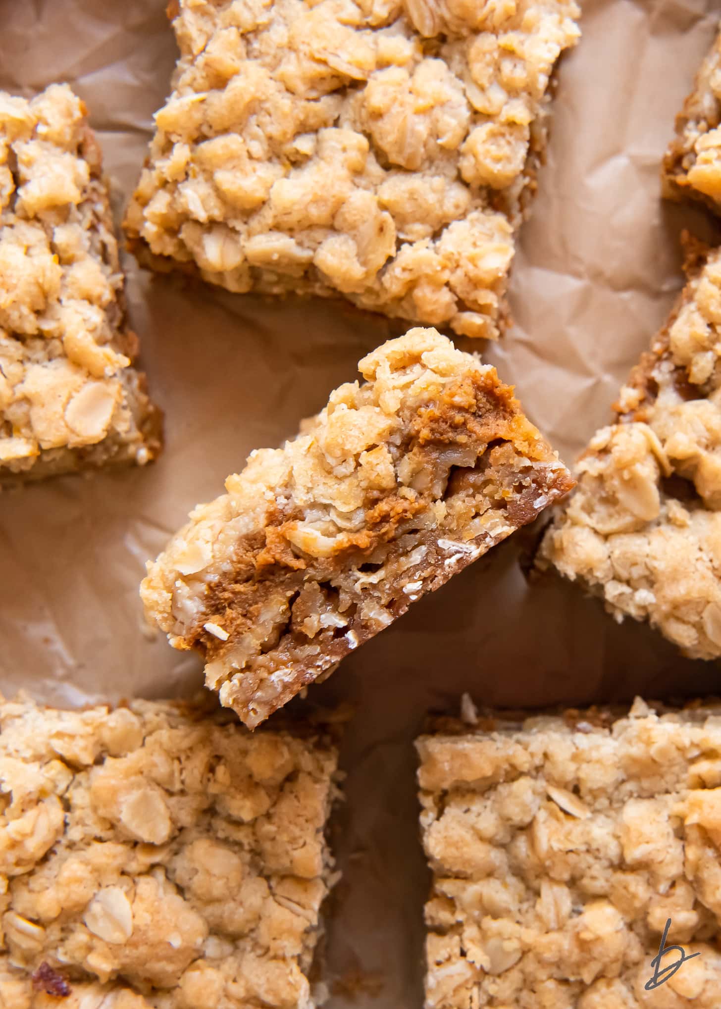 pumpkin pie bars on its side showing layers of oatmeal crust, pumpkin filling and crumble topping.