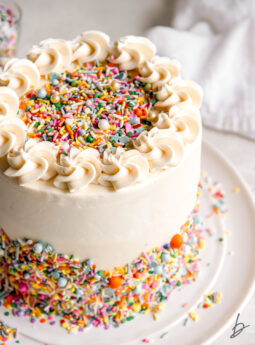 homemade funfetti cake frosted with buttercream and decorated with rainbow sprinkles.