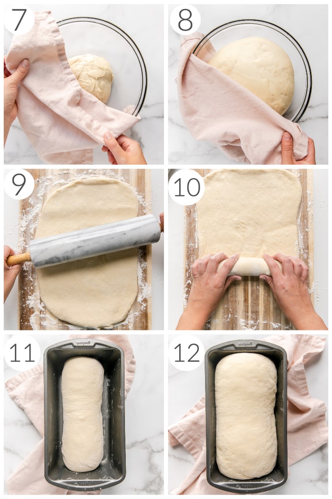 step by step photos how to make sandwich bread dough rising in bowl and loaf pan