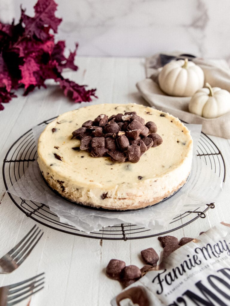 cheesecake topped with chocolate squares on wire cooling rack; red leaves and white pumpkin behind cheesecake