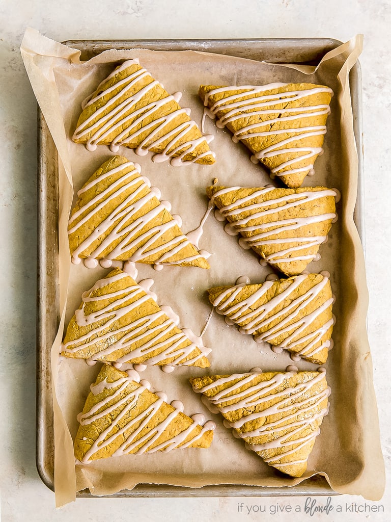 eight pumpkin scones with drizzle on parchment paper on baking sheet