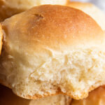 soft homemade dinner roll with golden brown top