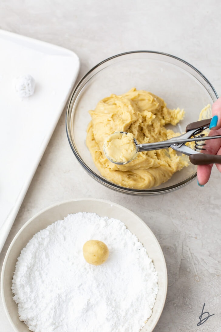 cookie scoop scooping lemon crinkle cookie dough and rolling in confectioners' sugar