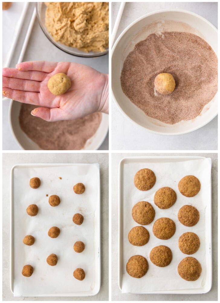 photo collage demonstrating how to roll pumpkin snickerdoodle cookie dough in cinnamon sugar and place on baking sheet