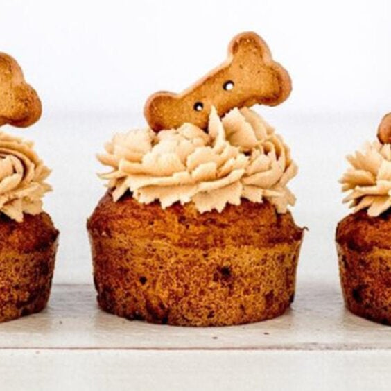 Pumpkin Peanut Butter Pupcakes If You Give a Blonde a Kitchen