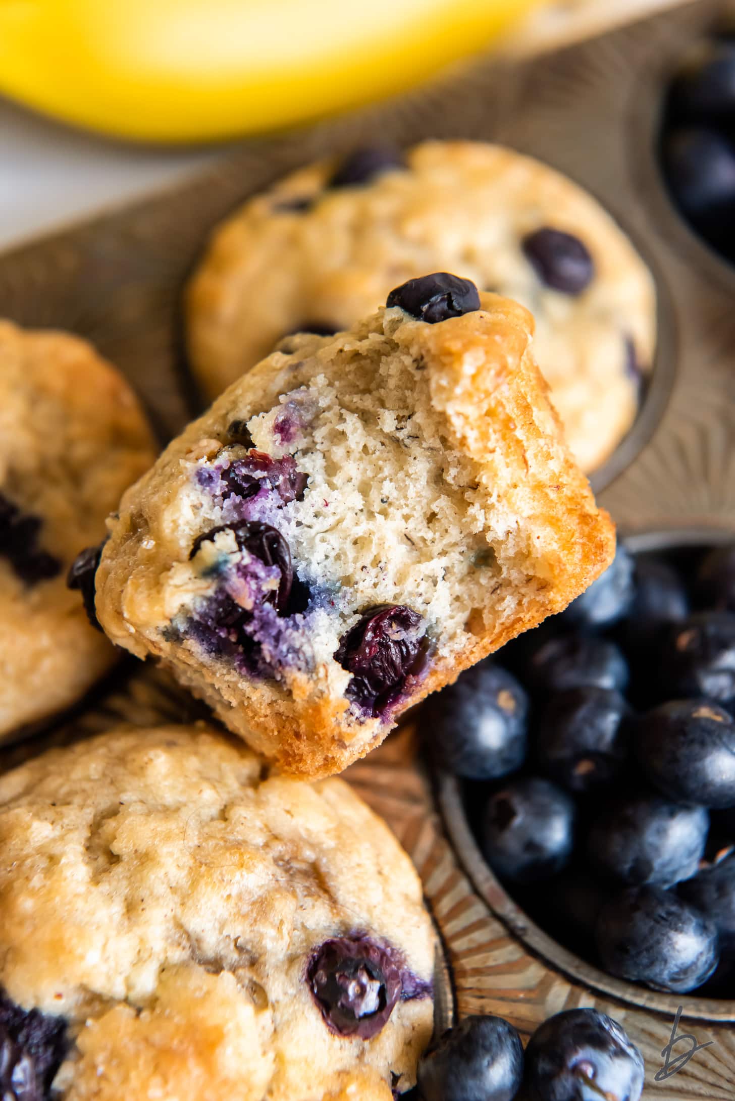 blueberry banana muffin with a bite on a muffin tin with more muffins and blueberries