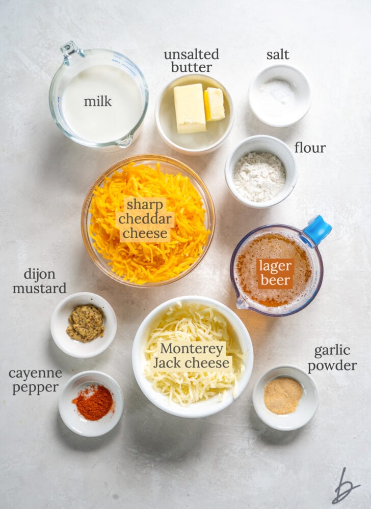 beer cheese dip ingredients in bowls labeled with text