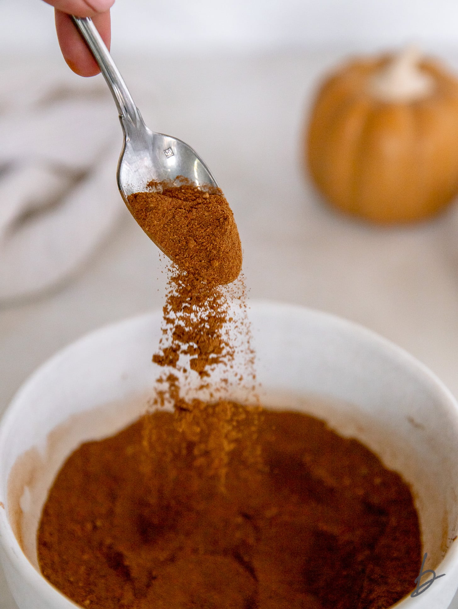 spoon sprinkling pumpkin pie spice into bowl