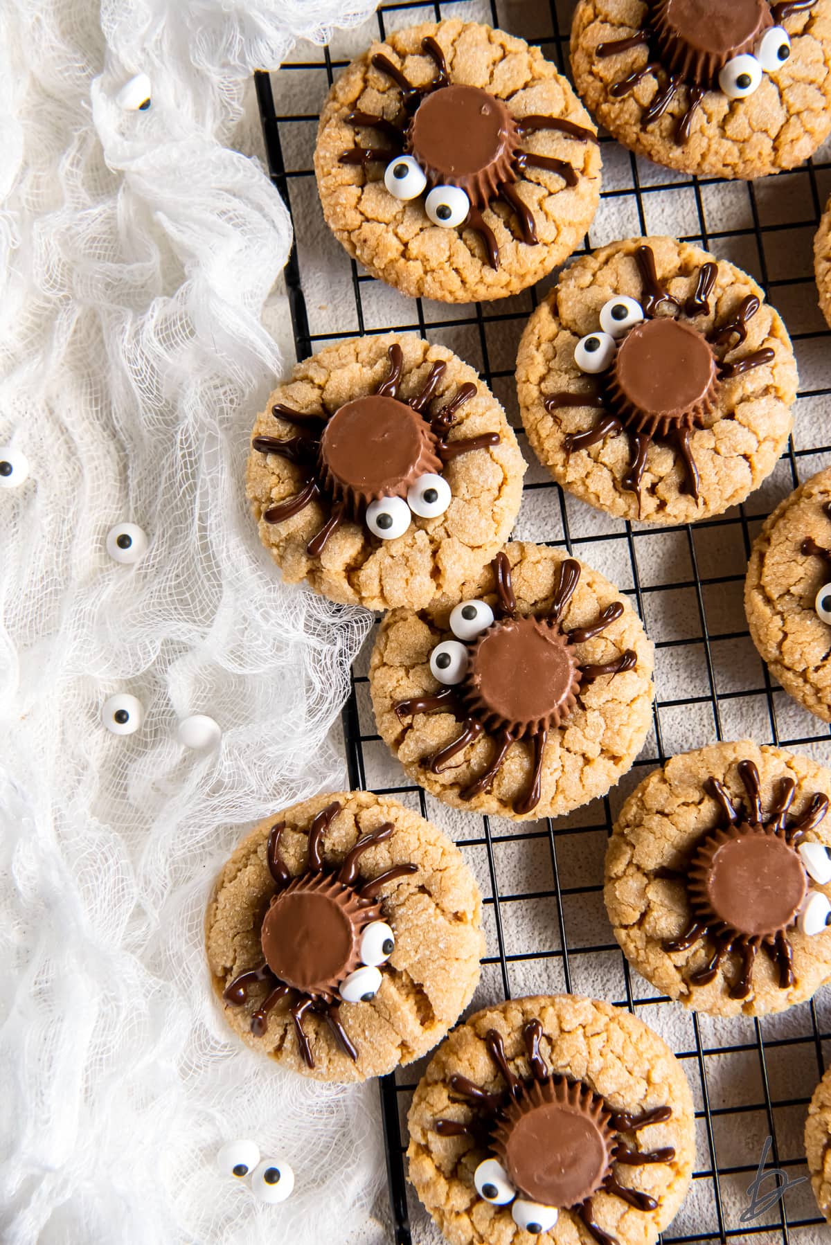 Spider Cookies-image