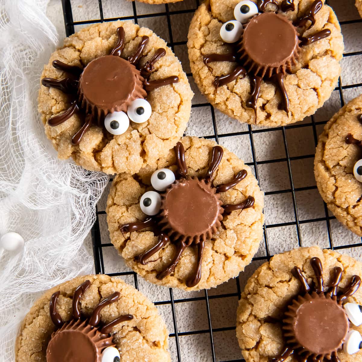 peanut butter spider cookies with chocolate legs and candy eyes.