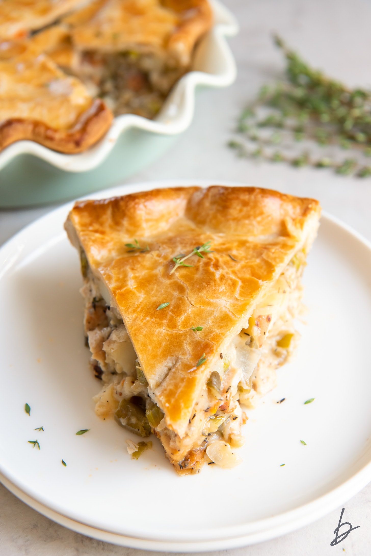 plate with slice of turkey pot pie with golden pie crust.