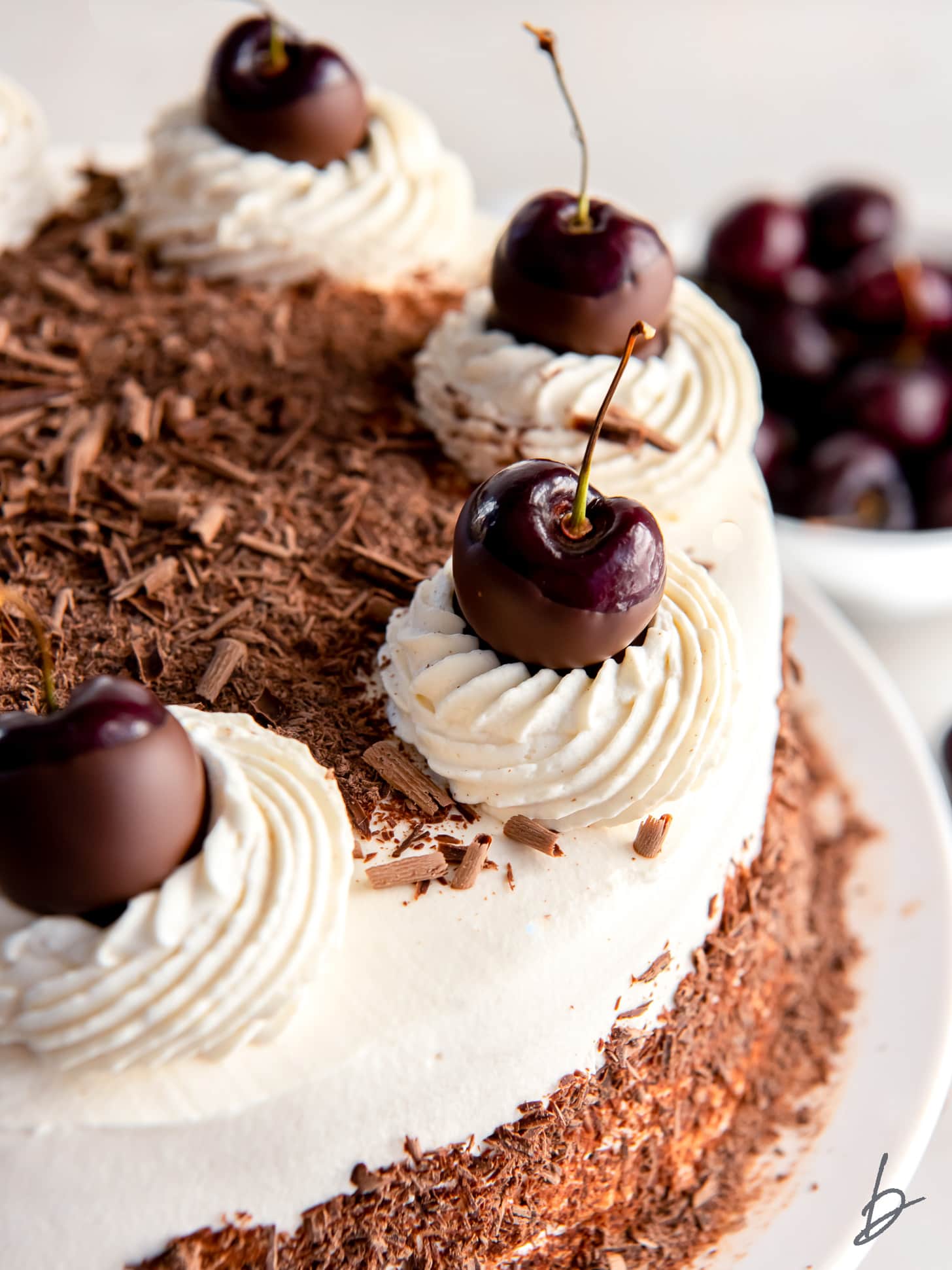 top of black forest cake with whipped cream, cherries and chocolate shavings.