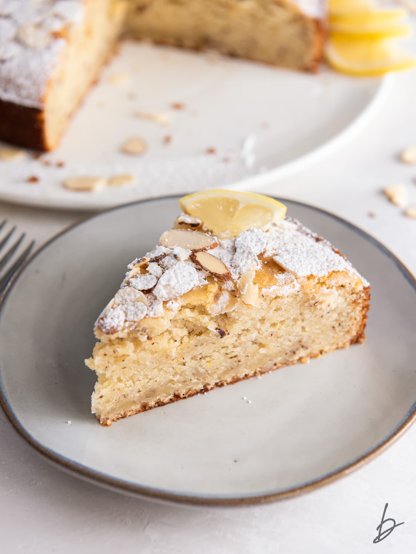 slice of lemon ricotta cake garnished with confectioners' sugar and lemon slice.