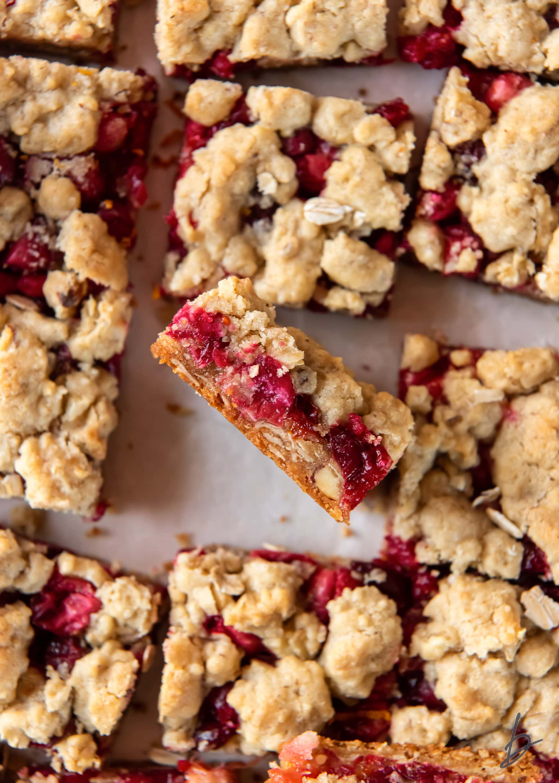 cranberry crumble bar on its side showing layers of crust, cranberry filling and crumb topping.