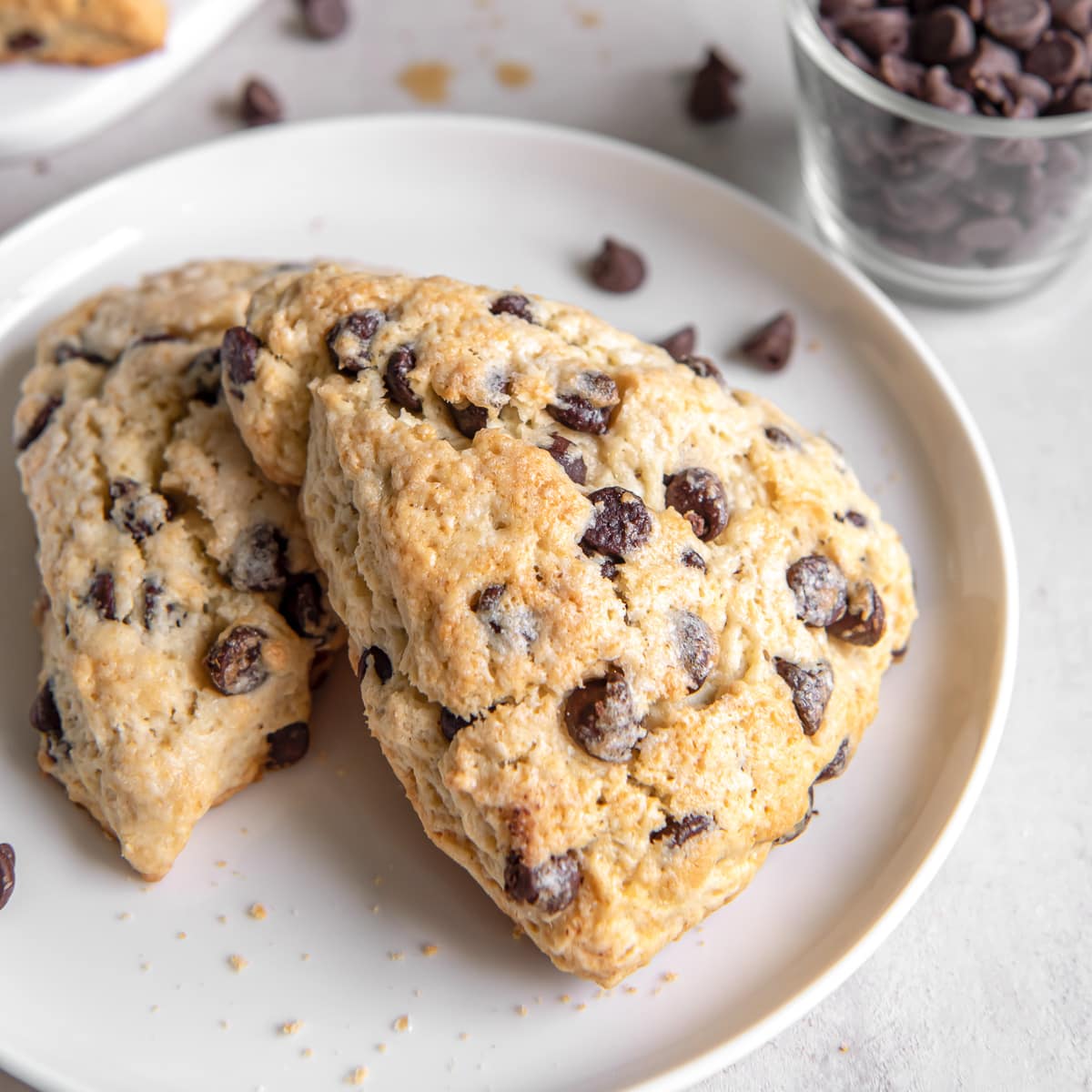two chocolate chip scones on a white plate.