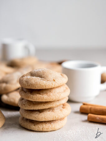 Homemade Snickerdoodle Cookies (soft &amp; chewy!) – If You Give a Blonde a ...