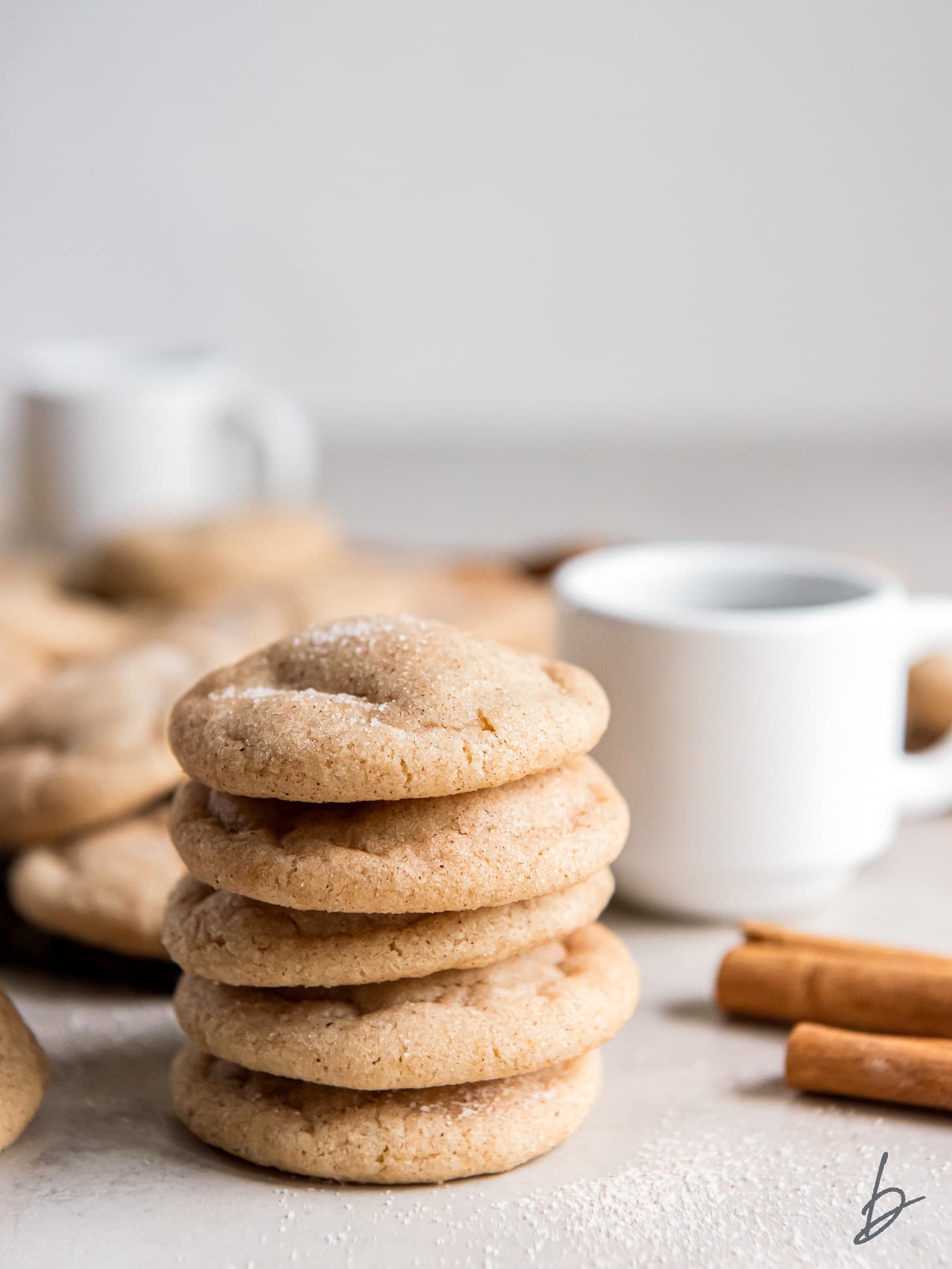 the best snickerdoodle cookies in a stack.