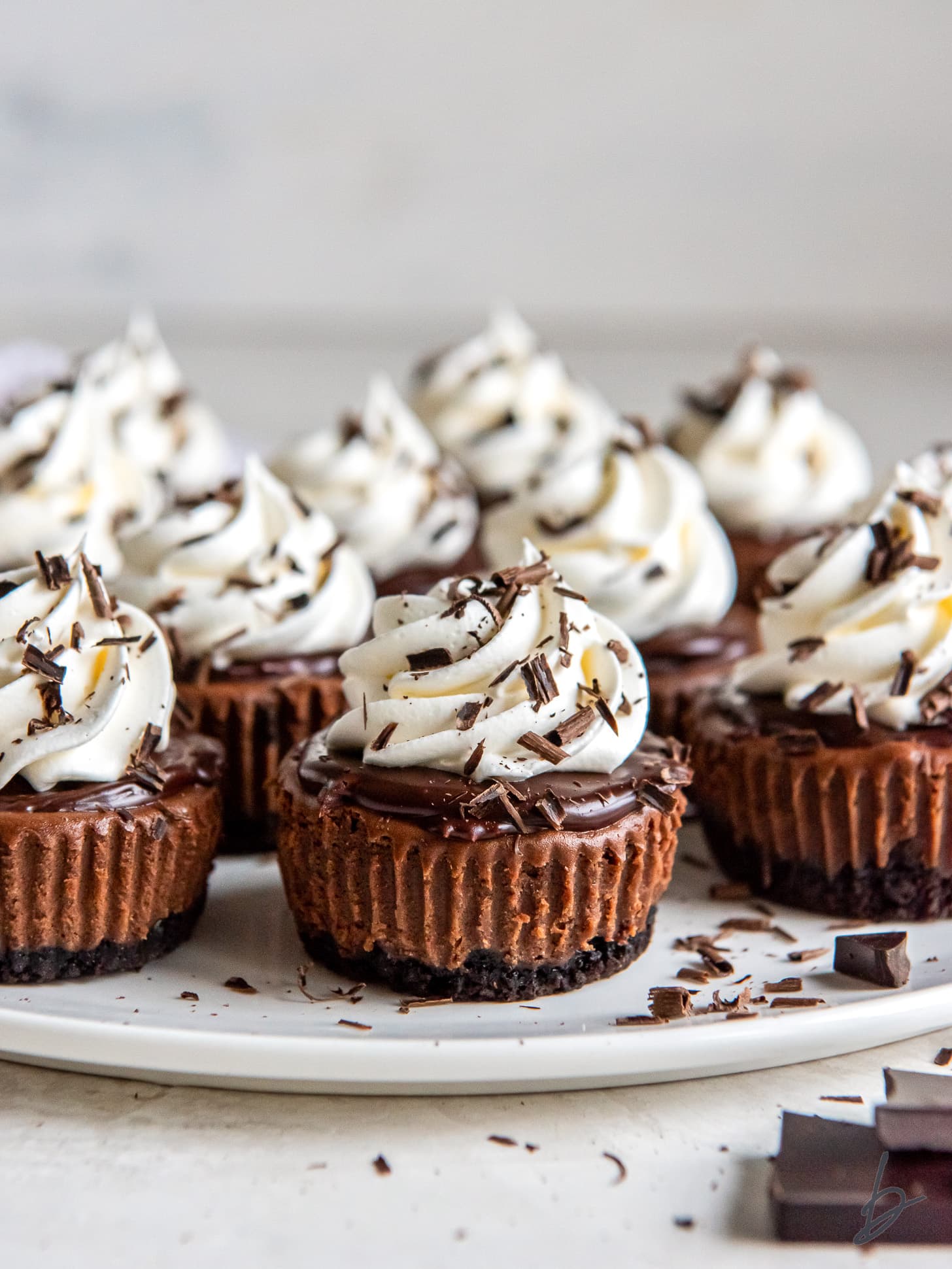 mini chocolate cheesecakes topped with whipped cream and chocolate shavings.