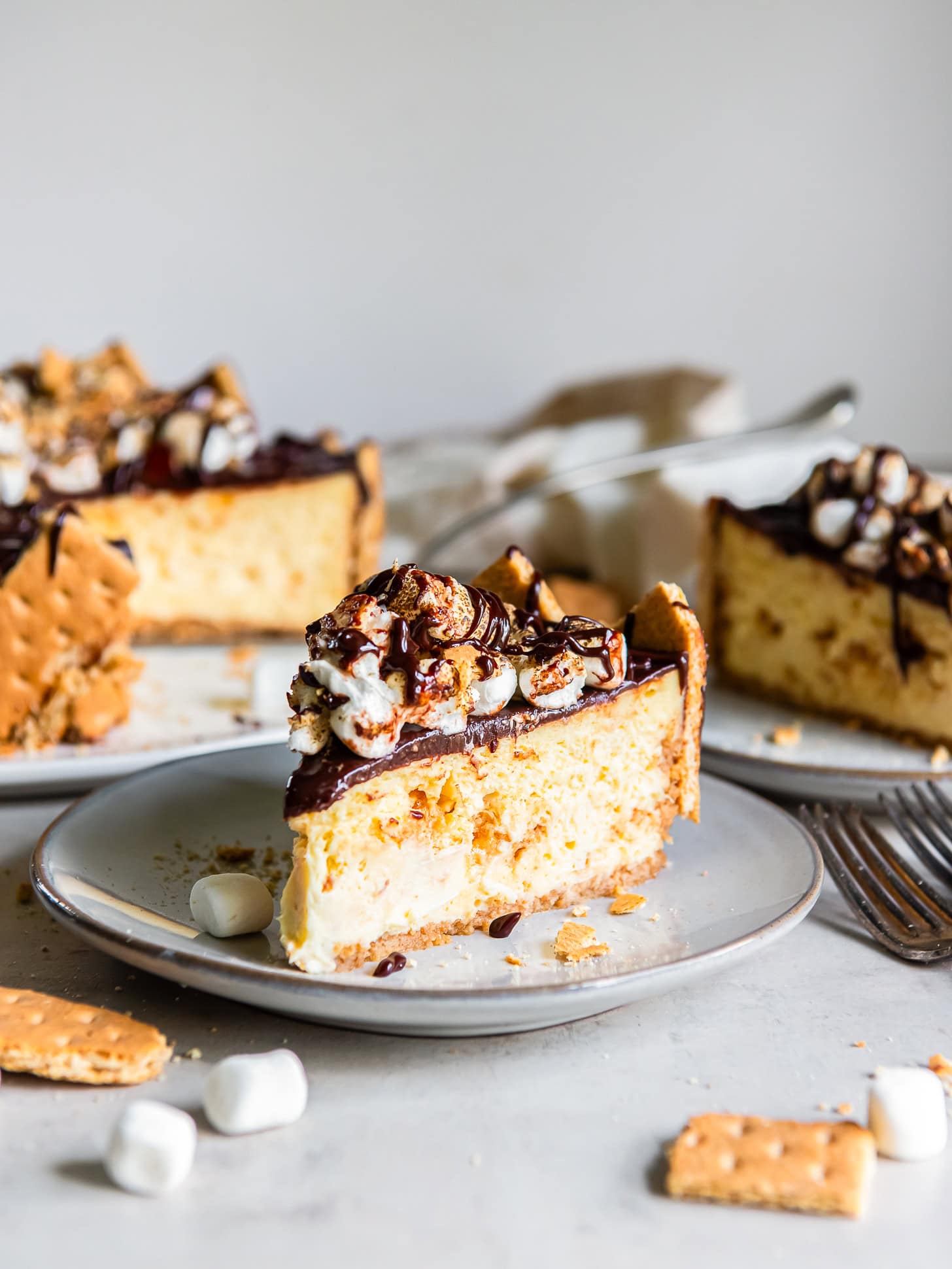 Slice of s'mores cheesecake served on a plate.