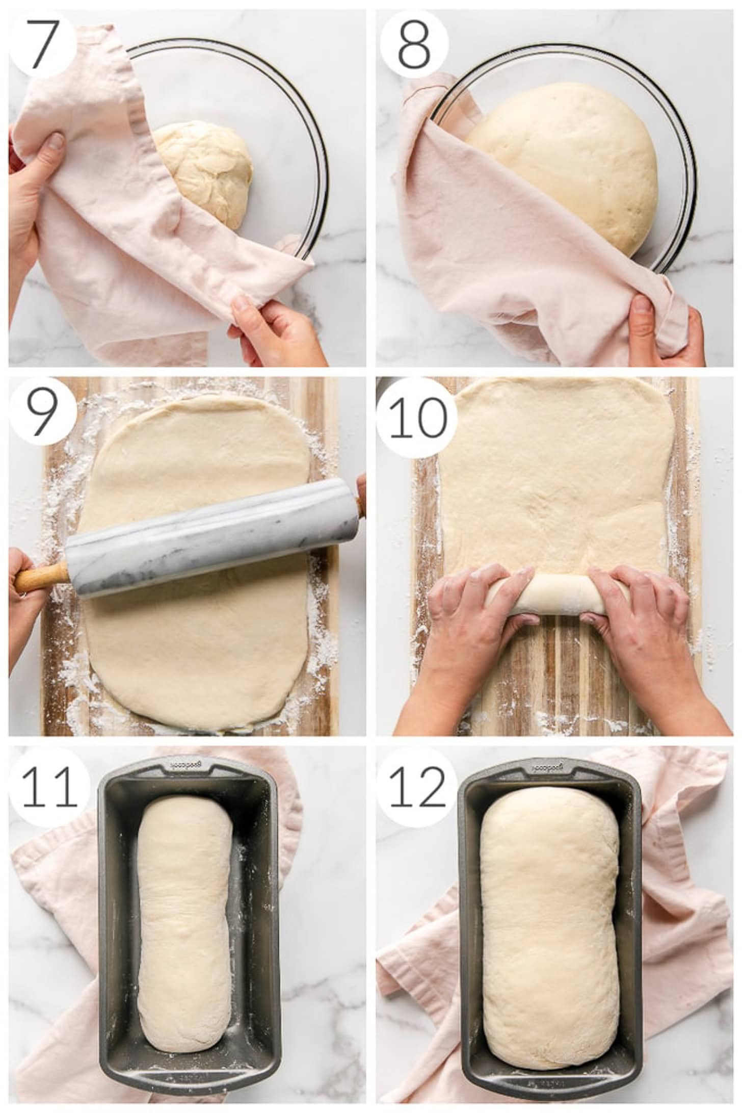 step by step photos how to make sandwich bread dough rising in bowl and loaf pan.