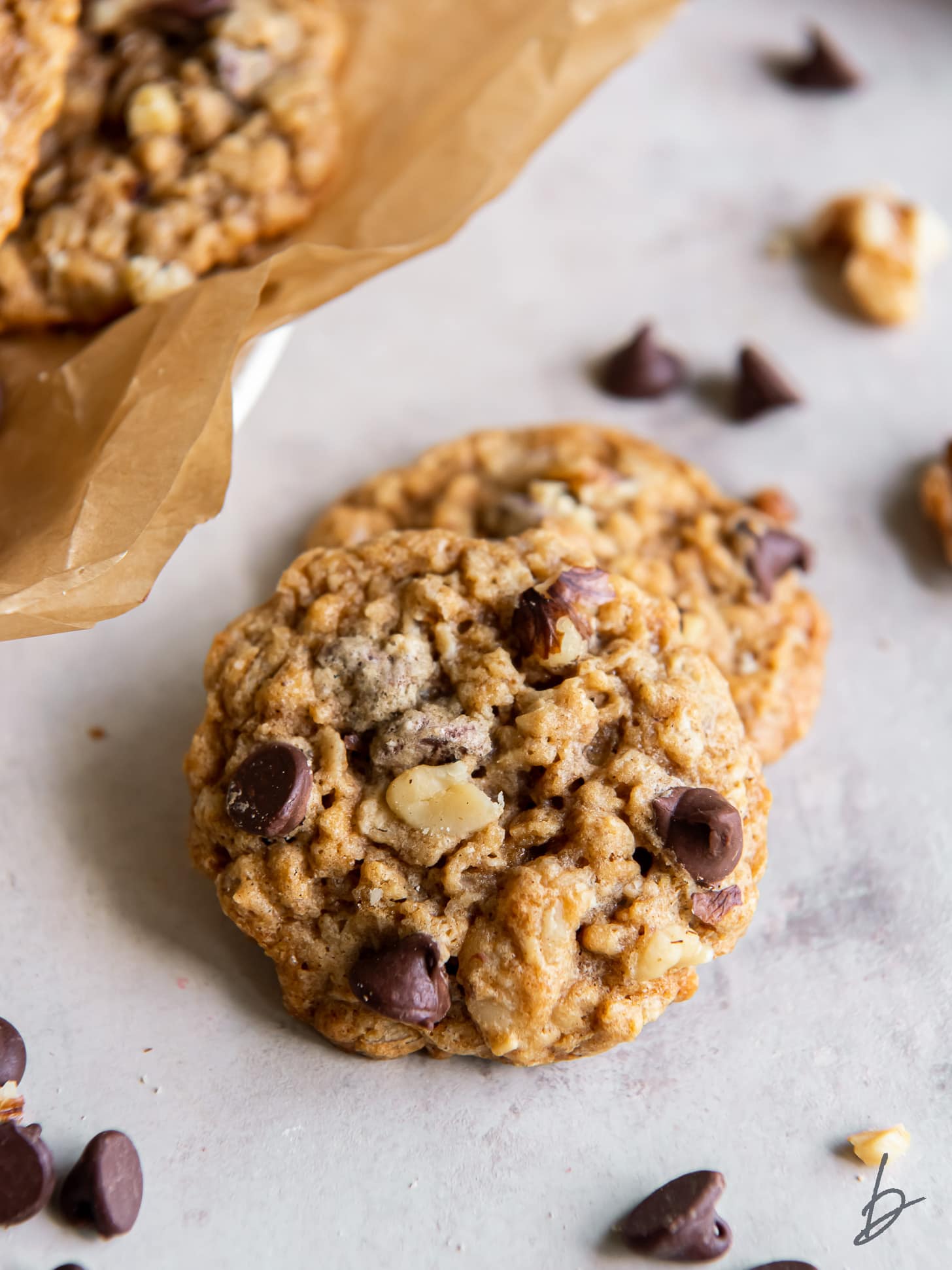 two chewy walnut oatmeal cookies with chocolate chips.