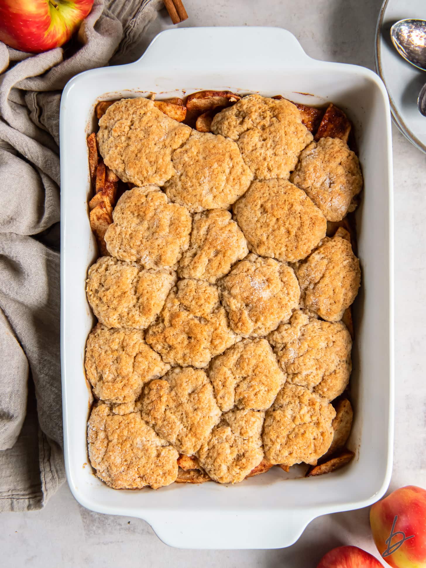 apple cobbler with biscuit topping in a baking dish.