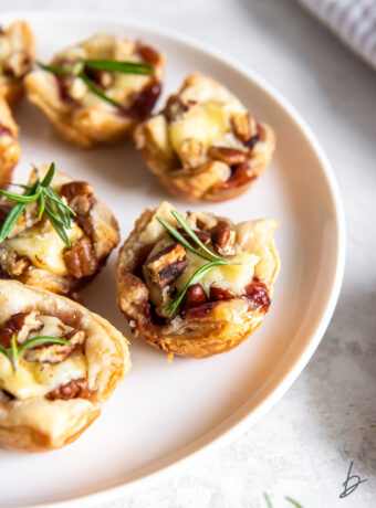 Cranberry Brie Bites with Puff Pastry