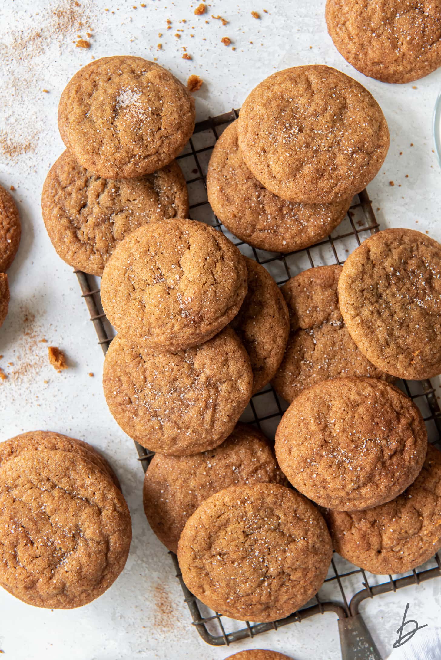 pile of gingerdoodle cookies on a small cooling rack with handle.