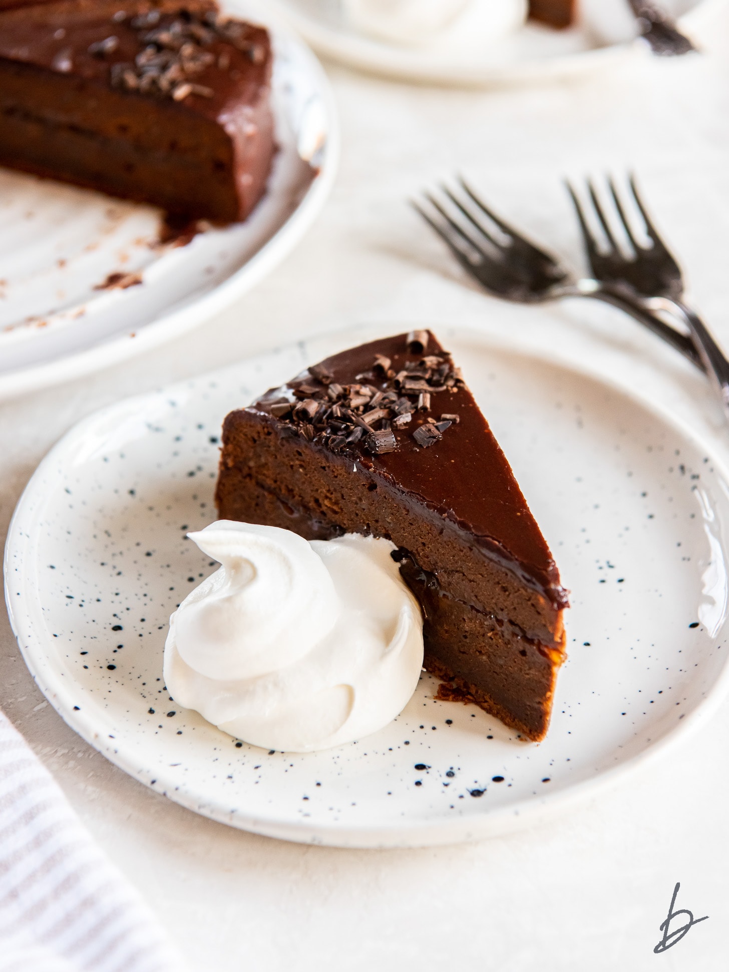 slice of sacher torte with dollop of whipped cream on a plate.