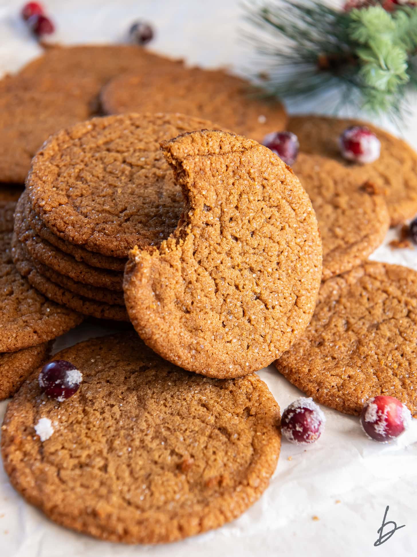 thin gingersnap cookie with bite taken out of it leaning on stack of more cookies.