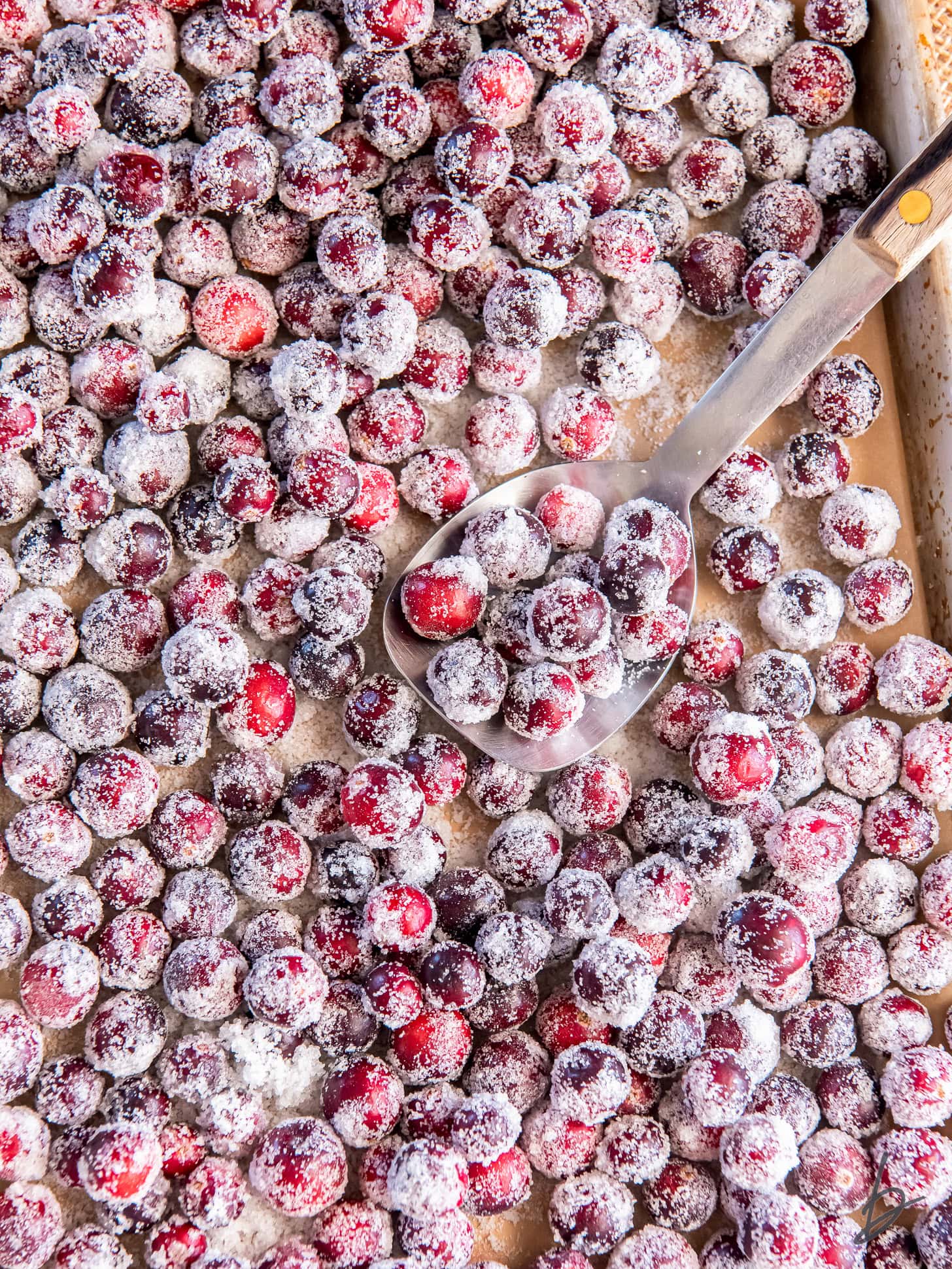sugared cranberries spread across parchment-lined baking sheet.