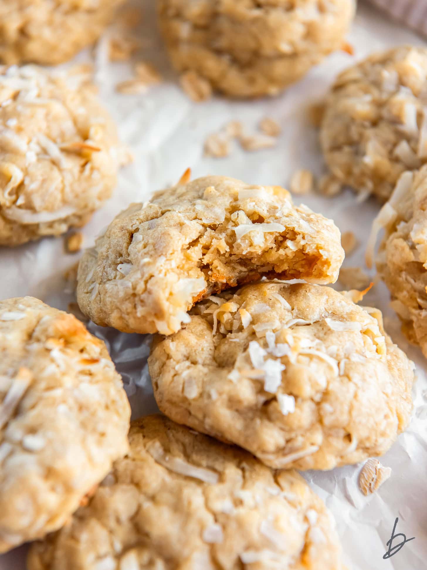 oatmeal coconut cookie with a bite taken out of it leaning on another cookie.