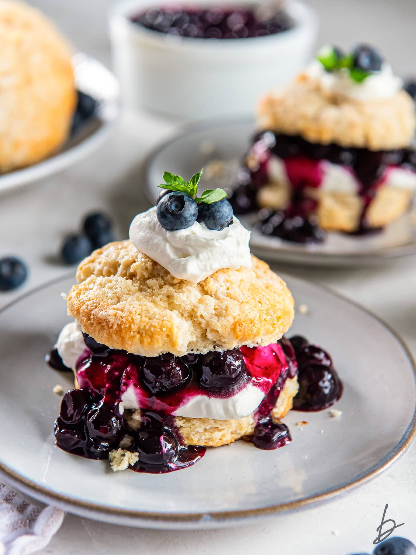 plate with blueberry shortcake garnished with a dollop of whipped cream, fresh blueberries and sprig of mint.