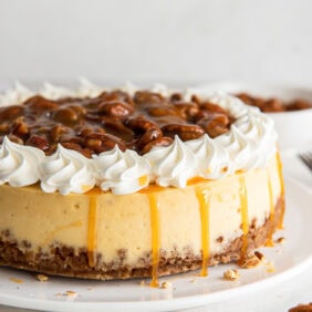 Pecan praline cheesecake topped with a pecan sauce and whipped cream.
