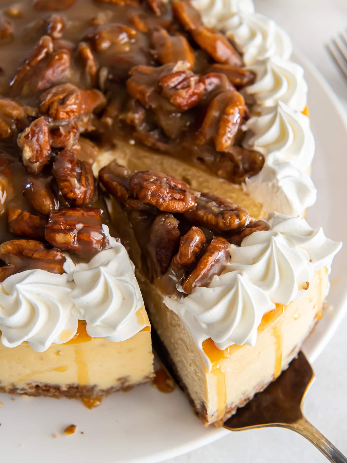 Taking a slice from a pecan praline cheesecake.