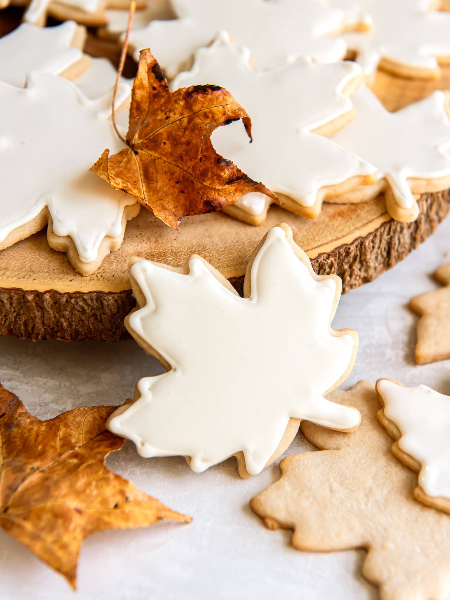 Maple leaf sugar cookies decorated with a white icing.